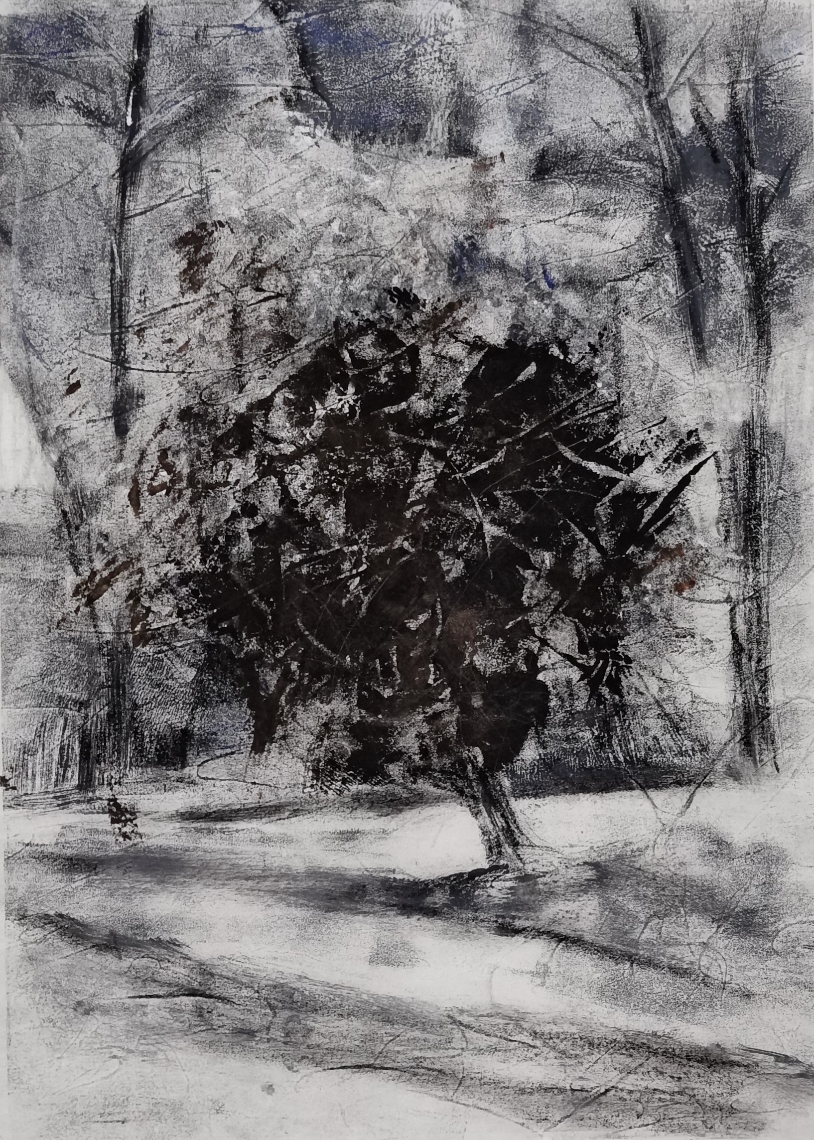 Spuren der Sonne 1, 29.5 x 20.8 cm